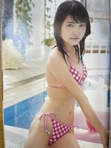 特3 82588 / 週刊プレイボーイ 2015年3月30日号 表紙:小嶋陽菜 許されたいと願う橋本奈々未 高田延彦が語る、仮面ライダーと故郷プロレス_画像5