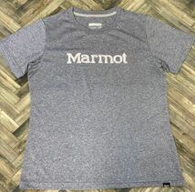 美品　Marmot　マーモット　ストレッチ　ドライ素材　半袖Tシャツ　カットソー　レディース　Mサイズ　アウトドア　グレー　デサント_画像1