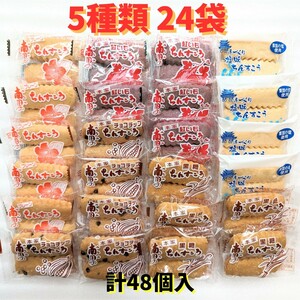 沖縄銘菓【5種類 ちんすこう 24袋(1袋2個入)=計48個入】訳あり お菓子　詰め合わせ チョコチップ プレーン　紅いも　塩 黒糖　個包装　