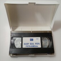 zvd-20♪アザラシの赤ちゃん 文藝春秋 1991/04　VHSビデオ/40分 カナダ　セント・ローレンス湾撮影_画像4