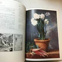 zaa-286♪花の絵集 シーモア・クワストとエミリー・ブレア・チューニング(著) (1977年)_画像7