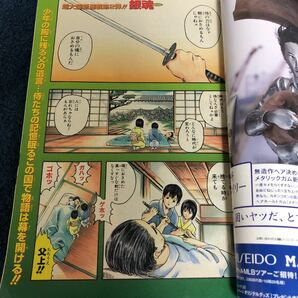 【銀魂 新連載号】週刊少年ジャンプ 2004年 2号 空知英秋 ワンピース ナルト 遊戯王 ボーボボ BLEACH いちご100% 銀さん 神楽 新八の画像4