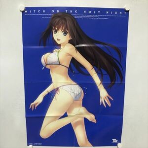 B13474 ◆蒼崎青子　魔法使いの夜 B2サイズ ポスター 送料180円 ★5点以上同梱で送料無料★