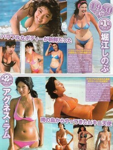 **切り抜き 堀江しのぶ アグネスラム かとうれいこ 河合奈保子 岡本夏生 柏原芳恵 沢田和美 黒田美礼 青木裕子 細川ふみえ ほしのあき他