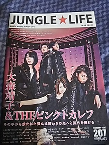 大森靖子&THEピンクトカレフ Fo'xTailsフォックステイルズ JUNGLE LIFE 2015 207号 冊子 ポルノ超特急2014 Kidori Kidori /