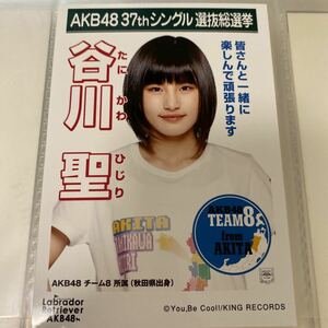 AKB48 谷川聖 ラブラドールレトリバー 劇場盤 生写真 選挙ポスター 選抜総選挙 チーム8