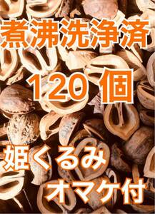 【送料無料】クルミの殻★ 煮沸済★鬼くるみの殻 120個★おまけで姫くるみの殻 ５個 