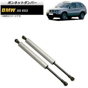 ボンネットダンパー BMW X5 E53 2000年～2007年 シルバー カーボンファイバー製 AP-4T864-SI 入数：1セット(2個)