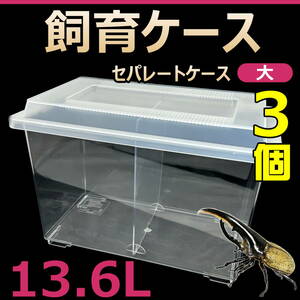 【RK】飼育ケース　セパレートケース　大　13.6L　新品　3個　カブトムシ・クワガタ 成虫飼育に最適　コバエ抑制