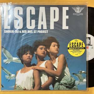 SALE 10H 少女隊 & RED BUS St PROJECT / エスケイプ Escape 15PL-3 藍田美豊 安原麗子 市川三恵子 LP レコード アナログ盤