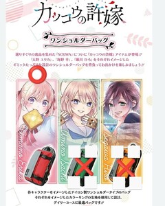 天野エリカ ver. カッコウの許嫁 ショルダーバッグ　ワンショルダーバッグ 赤1点 SOLWA ココラボ 定価15,400円