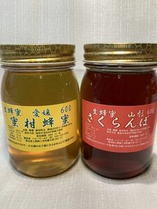 蜜柑蜂蜜1本　さくらんぼ蜂蜜1本　各600ｇセット　国産純粋　生はちみつ
