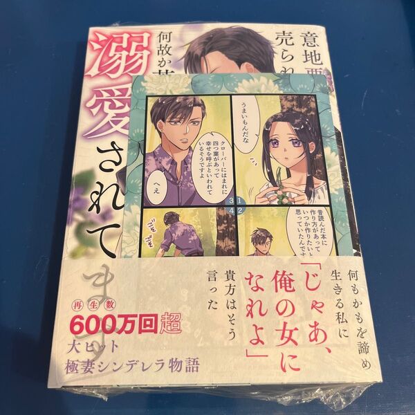 意地悪な母と姉に売られた私。何故か若頭に溺愛されてます 1 アニメイト特典つき