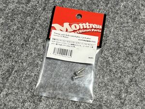 MONTREUX モントルー Vintage Inch control jack plate screws (2) Nickel fender 用