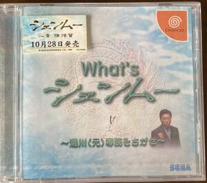  unopened new goods / Dreamcast /What*sshem-~ hot water river ( origin )......~ trial version 