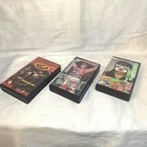 ● ルチャ系 プロレス ビデオ まとめ売り 検) VHS みちのくプロレス ユニバーサル グレートサスケ デルフィン CMLL_画像4