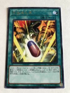 遊戯王　魔法　究極進化薬　レア