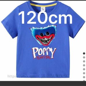 【120cm】大人気　ハギーワギー　Tシャツ