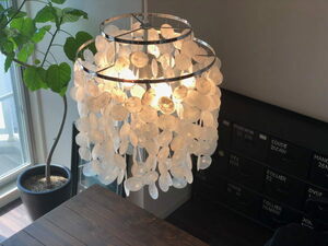  shell lamp 2 light lighting pendant light .kapis. west coastal area Cafe dining living stylish beach Vintage Mid-century 