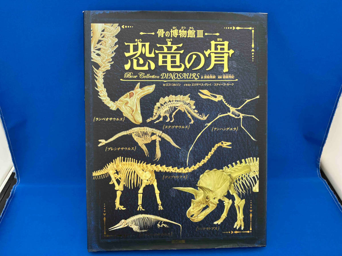 2023年最新】Yahoo!オークション -#恐竜の骨の中古品・新品・未使用品一覧