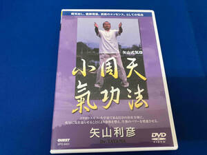 DVD 矢山式気功法 小周天