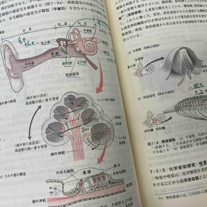 生物学入門 第3版 嶋田正和の画像5