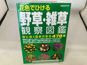 花色でひける野草・雑草観察図鑑 高橋良孝