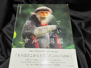  world . most beautiful monkey. illustrated reference book Kyoto university . length kind research place 