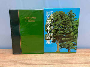 ★ 原色樹木大圖鑑 北隆館 昭和60年発行