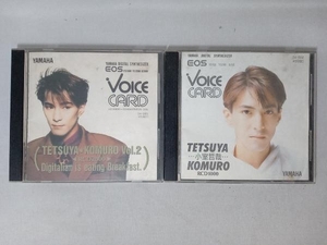 YAMAHA EOS 小室哲哉 Voice CARD 2枚組 TETSUYA KOMURO RCD1000 YS100 YS200 B200 TETSUYA KOMURO Vol.2 RCD2000 YS100 YS200 B200