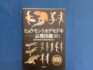 ヒョウモントカゲモドキ品種図鑑 中川翔太