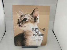 世界で一番美しい猫の図鑑 タムシン・ピッケラル_画像1
