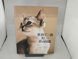 世界で一番美しい猫の図鑑 タムシン・ピッケラル