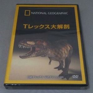 【未開封】DVD ナショナル ジオグラフィック Tレックス大解剖の画像1