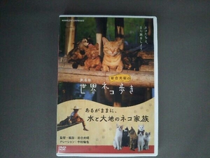 DVD 劇場版岩合光昭の世界ネコ歩き あるがままに、水と大地のネコ家族