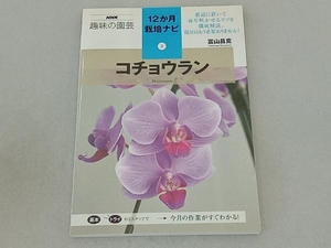 趣味の園芸 コチョウラン 富山昌克