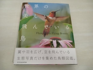 世界の美しい飛んでいる鳥 澤井聖一