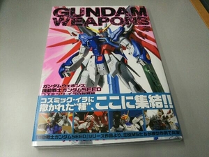 GUNDAM WEAPONS 機動戦士ガンダムSEED コズミック・イラの世界編 ホビージャパン