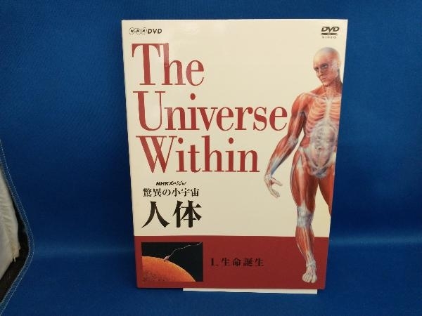 2023年最新】Yahoo!オークション -nhkスペシャル人体 dvdの中古品