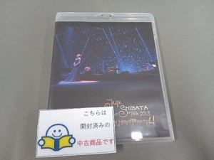柴田淳 CONCERT TOUR 2013 月夜PARTY vol.4(Blu-ray Disc)