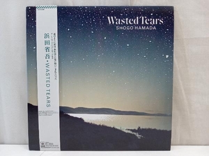 浜田省吾 【LP盤】Wasted Tears