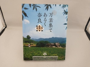 万葉集であるく奈良 上野誠