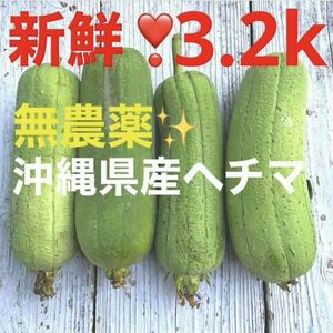 1031①大人気トロリ食感の新品種:味枕(別名:まくらヘチマ)箱別3.2キロ分