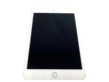 Apple iPad mini 第5世代 Wi-Fiモデル FUU52J/A 256GB 7.9インチ タブレット 訳有 M8114970_画像1