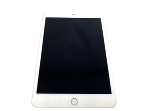 Apple iPad mini 第5世代 Wi-Fiモデル FUU52J/A 256GB 7.9インチ タブレット 訳有 M8114970