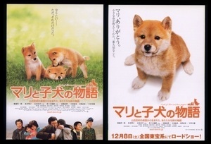 ♪2007年チラシ「マリと子犬の物語」船越英一郎/松本明子/佐々木麻緒/広田亮平/徳井優/小林麻央　山古志村のマリと三匹の子犬♪