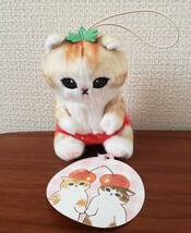 新品・未使用 タグ付 mofusand モフサンド フルーツにゃん マスコット ぬいぐるみ いちごのおぱんつ いちご 猫 ネコ マスコットぢゅの_画像1