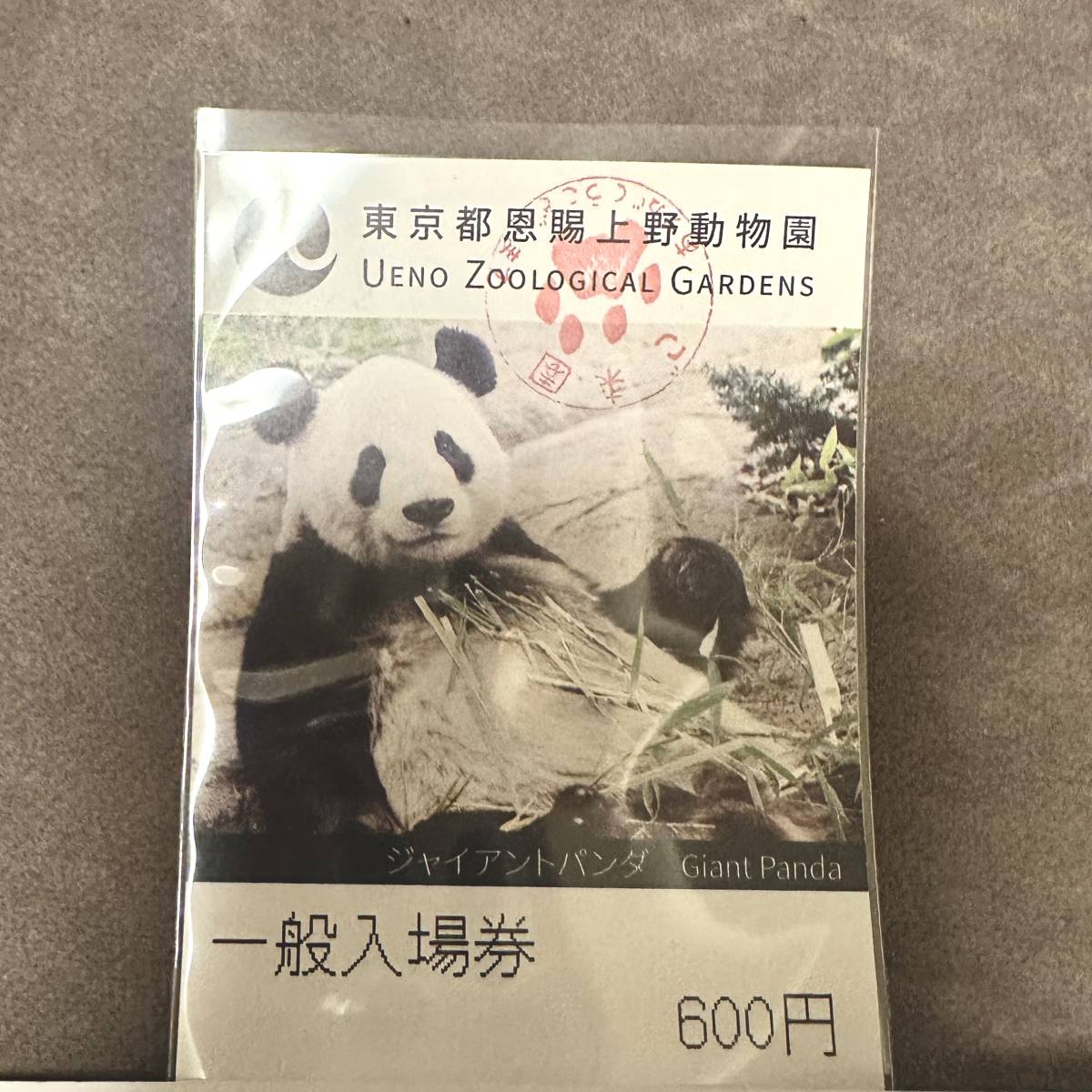 2025年最新】Yahoo!オークション -上野動物園(印刷物)の中古品 2025年最新】Yahoo!オークション -上野動物園(印刷物)の中古品
