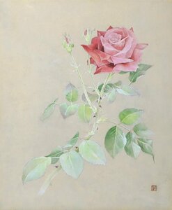 齋藤光彌「薔薇2006A」日本画 額装品 静物画