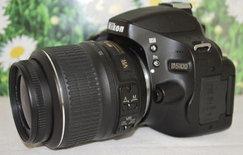 絶対お得 スマホ転送 SD付でこの価格 Nikon D40X｜PayPayフリマ
